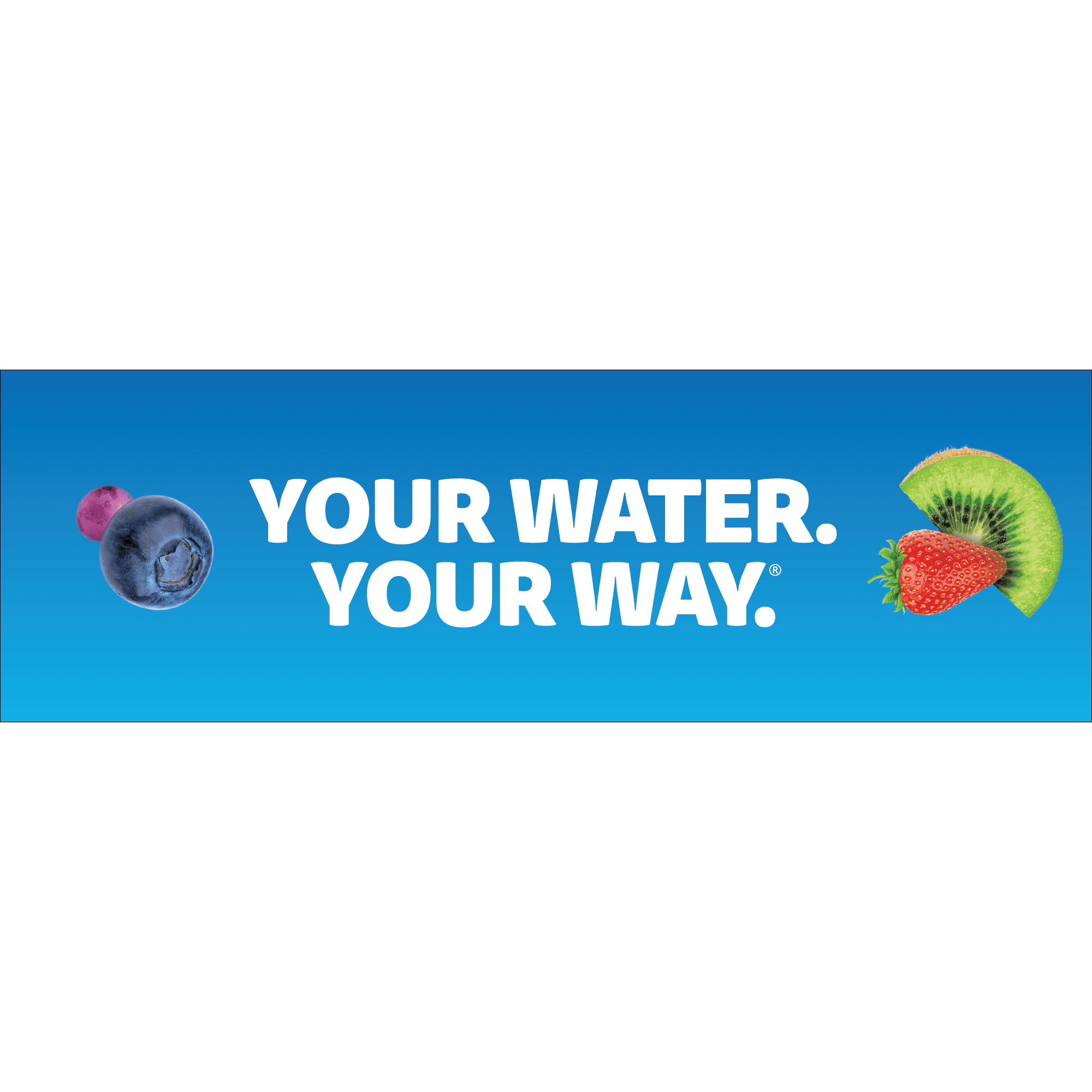 32oz Plastic Starter Kit with Navy Blue Lid, 2 Flavor Cartridges (Blueberry Grape &amp; Kiwi Berry)