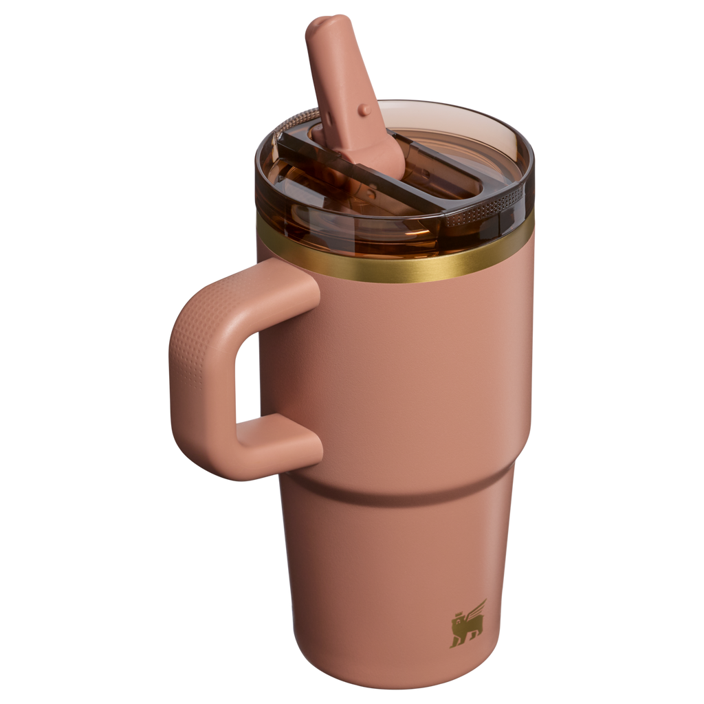The Quencher ProTour Flip Straw Tumbler | 20 OZ - Stanley Create